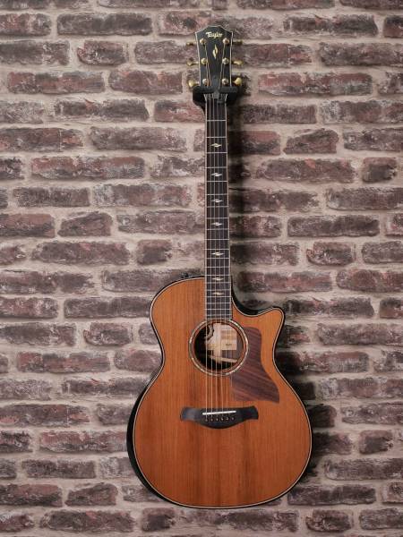 Plongez dans l'Harmonie : Découvrez la Taylor 814ce 50th Anniv Ltd Builder's Édition chez Broc Music à Toulon !